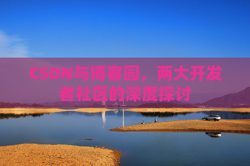 CSDN与博客园，两大开发者社区的深度探讨